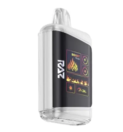 RAZ Vape DC25000 Disposable Vape MIAMI MINT